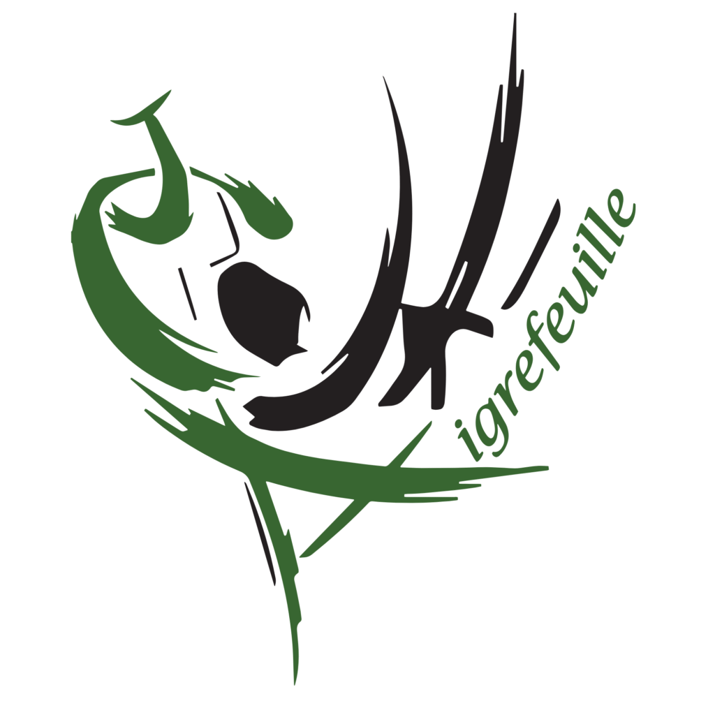 logo / insigne en noir et vert du club Aigrefeuille Aunis