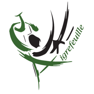 logo / insigne en noir et vert du club Aigrefeuille Aunis